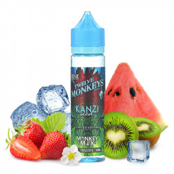 Kanzi Iced 0mg 50ml - Twelve Monkeys Ice Age