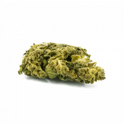 INFUSION FLEURS CBG - WHITE RHINO